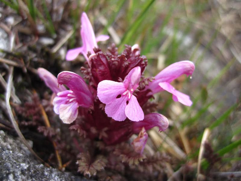 Breathtaking lakeside mountain landscape with rolling green hills and rugged terrain during daytime.