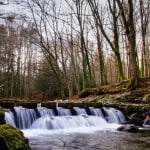 16144366073_7c8ab80248_k