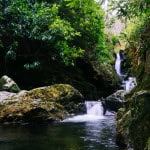 16764251325_24bdc08ed3_b