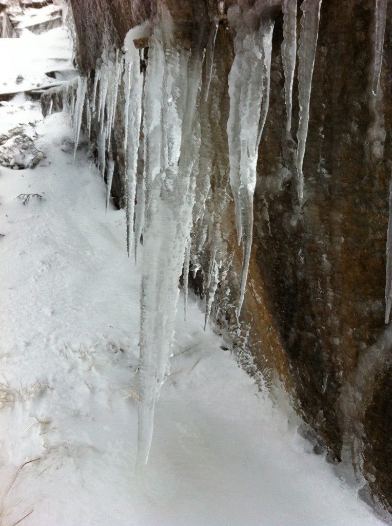 icicles