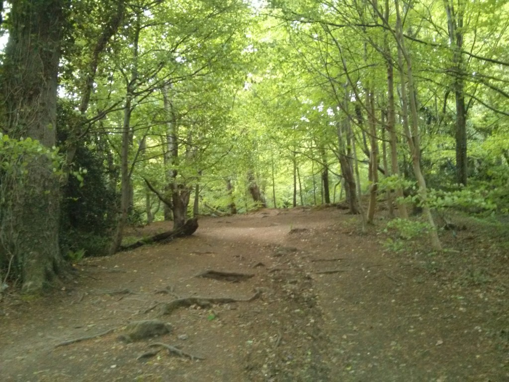 Donard Wood