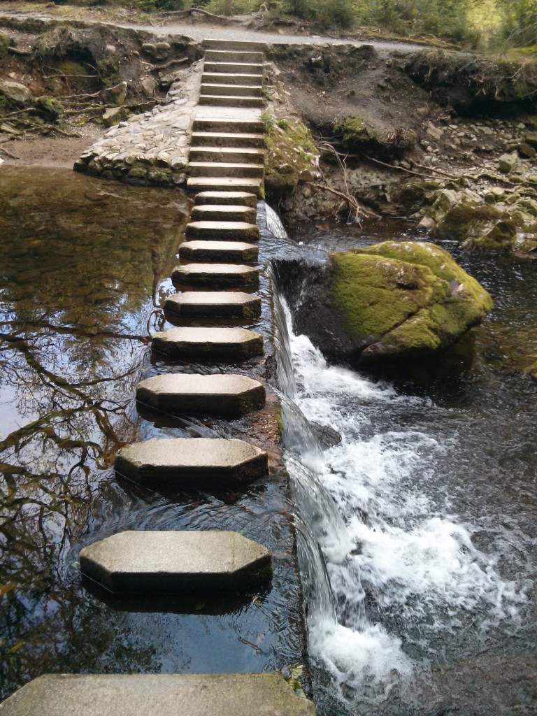 Tollymore stepping stones