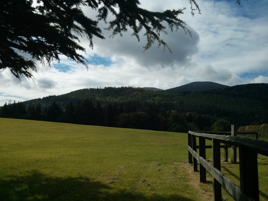 View from a bench in Tollymore