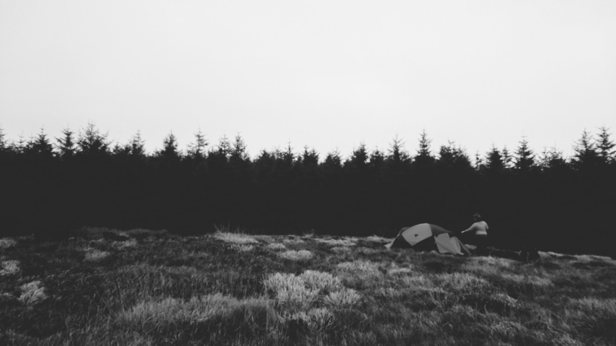 Tent pitched infront of a line of trees