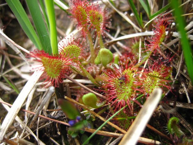 Breathtaking lakeside mountain landscape with rolling green hills and rugged terrain during daytime.