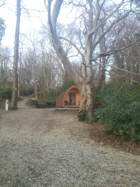 Glamping pods at Castle Ward