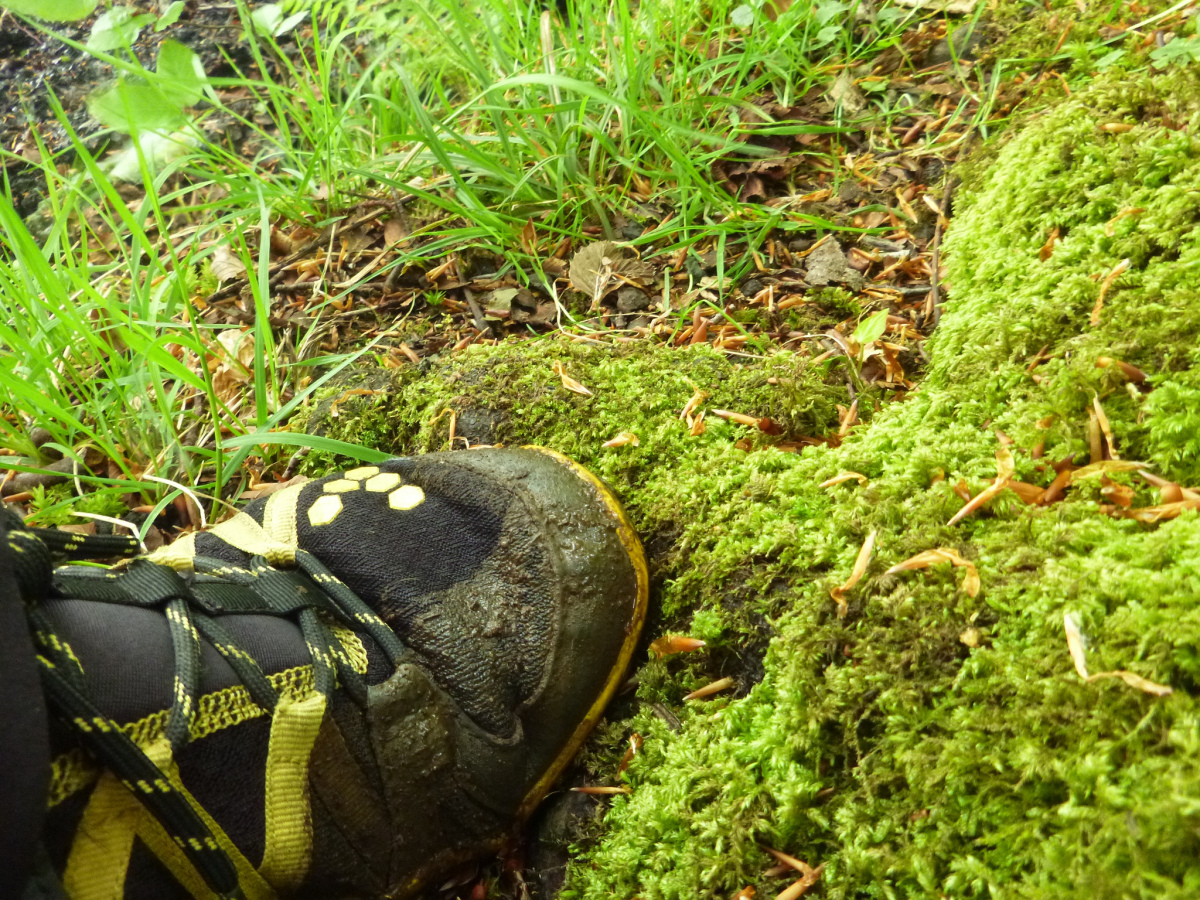 Image of barefoot shoe