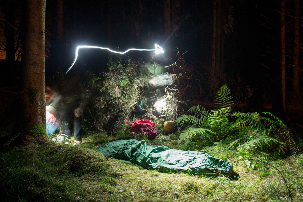 Forest bivi under fallen tree