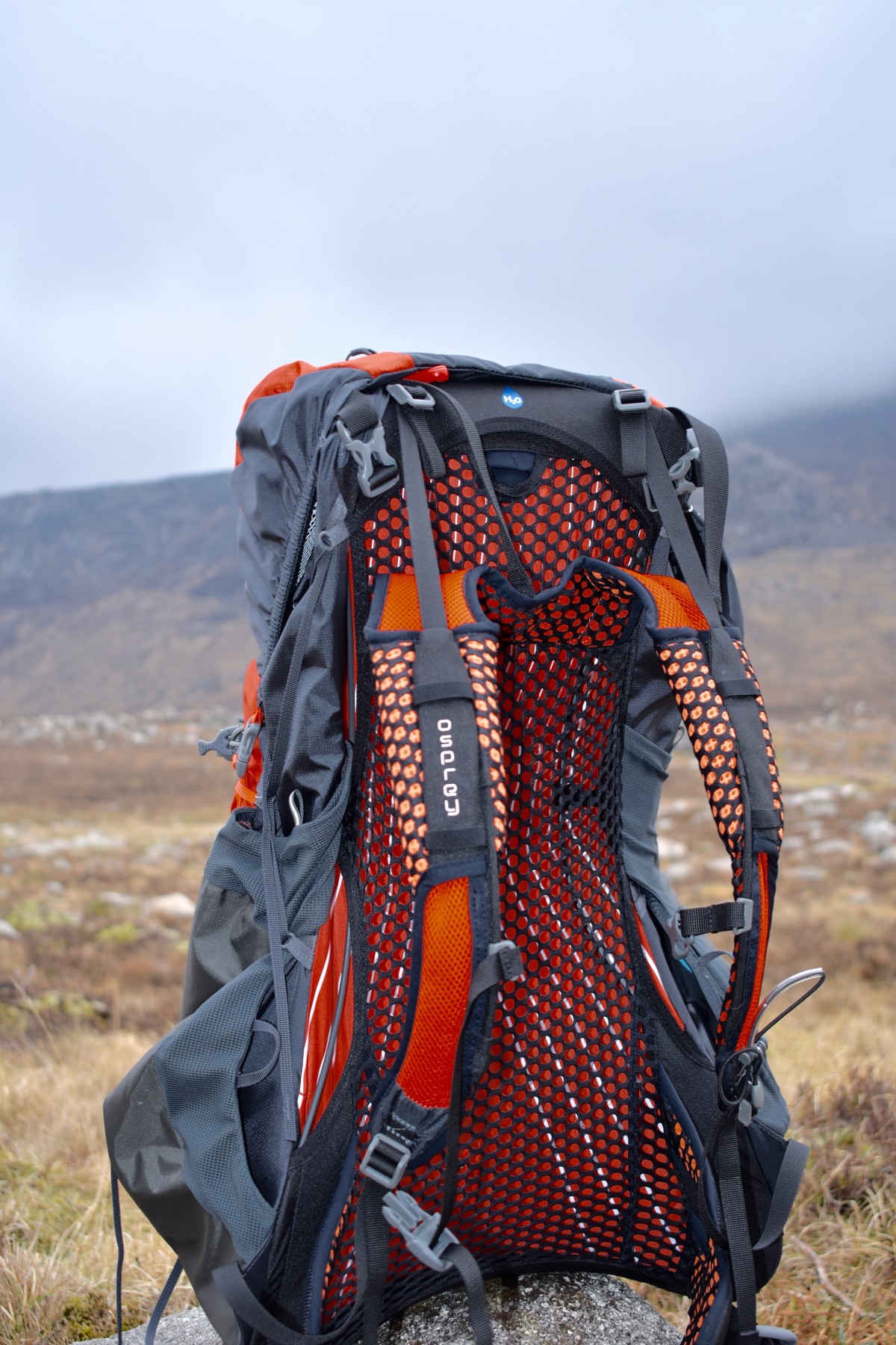 AirSpeed™ ventilated trampoline suspended mesh backpanel 