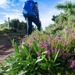 osprey zenith rucksack