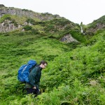 Climbing up to the clifftops
