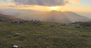 Video: Commedagh Summit Solo Camp