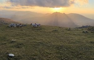 Video: Commedagh Summit Solo Camp