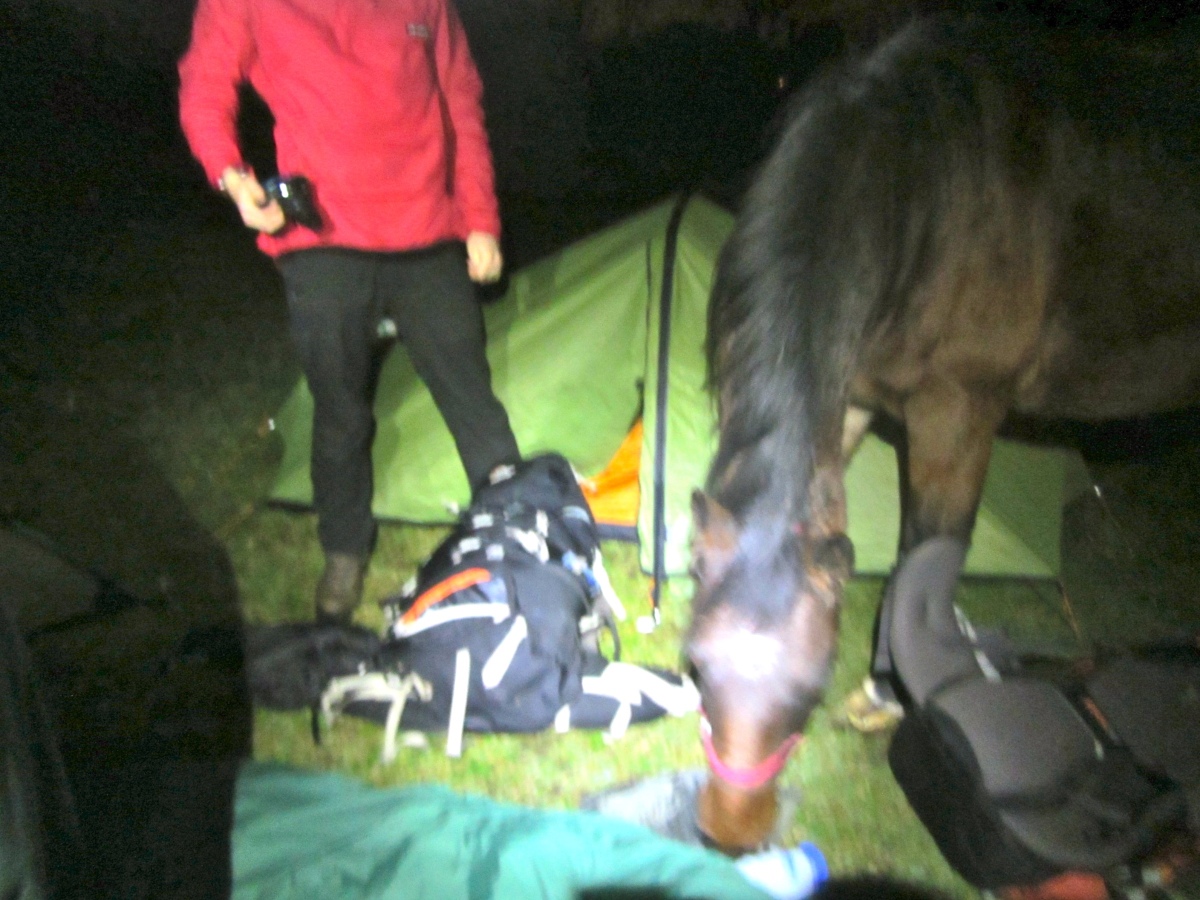 Fascinated by the tents and bivvy