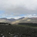 IMG_1042