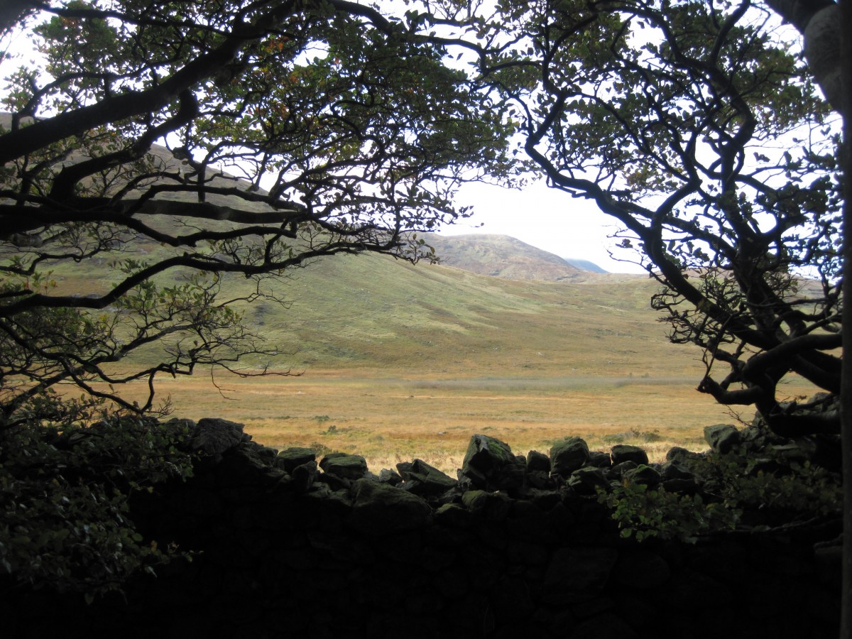 The boundary wall of Tollymore looking onto the mountains.