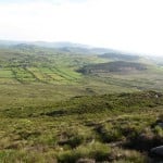 IMG_1243