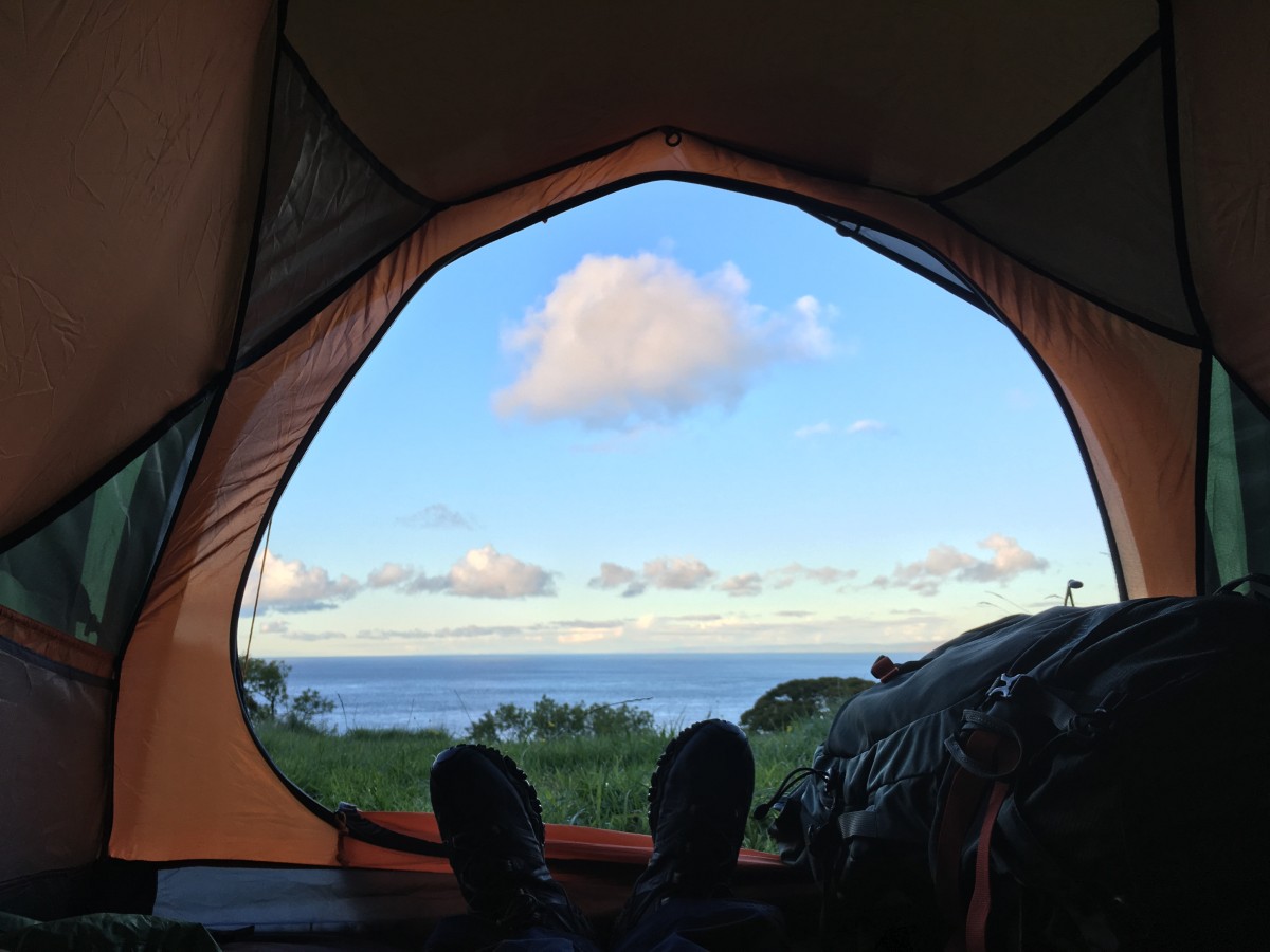 Great view with the porch door rolled up