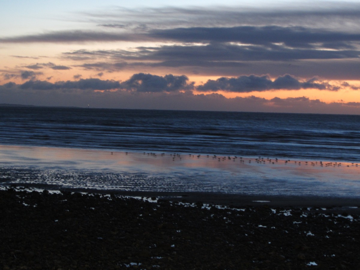 Bitter cold winds from the sea.