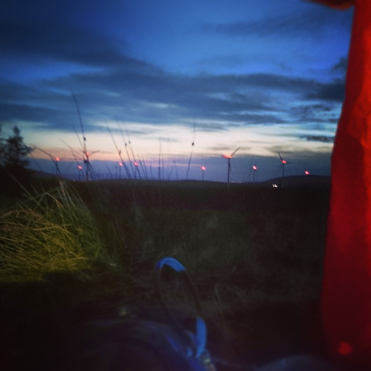 Looking out at wind turbines from tent