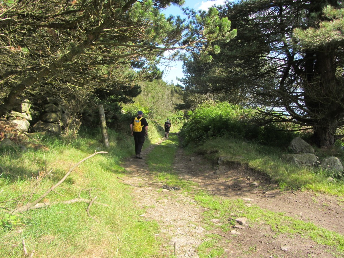 Towards Dunnywater