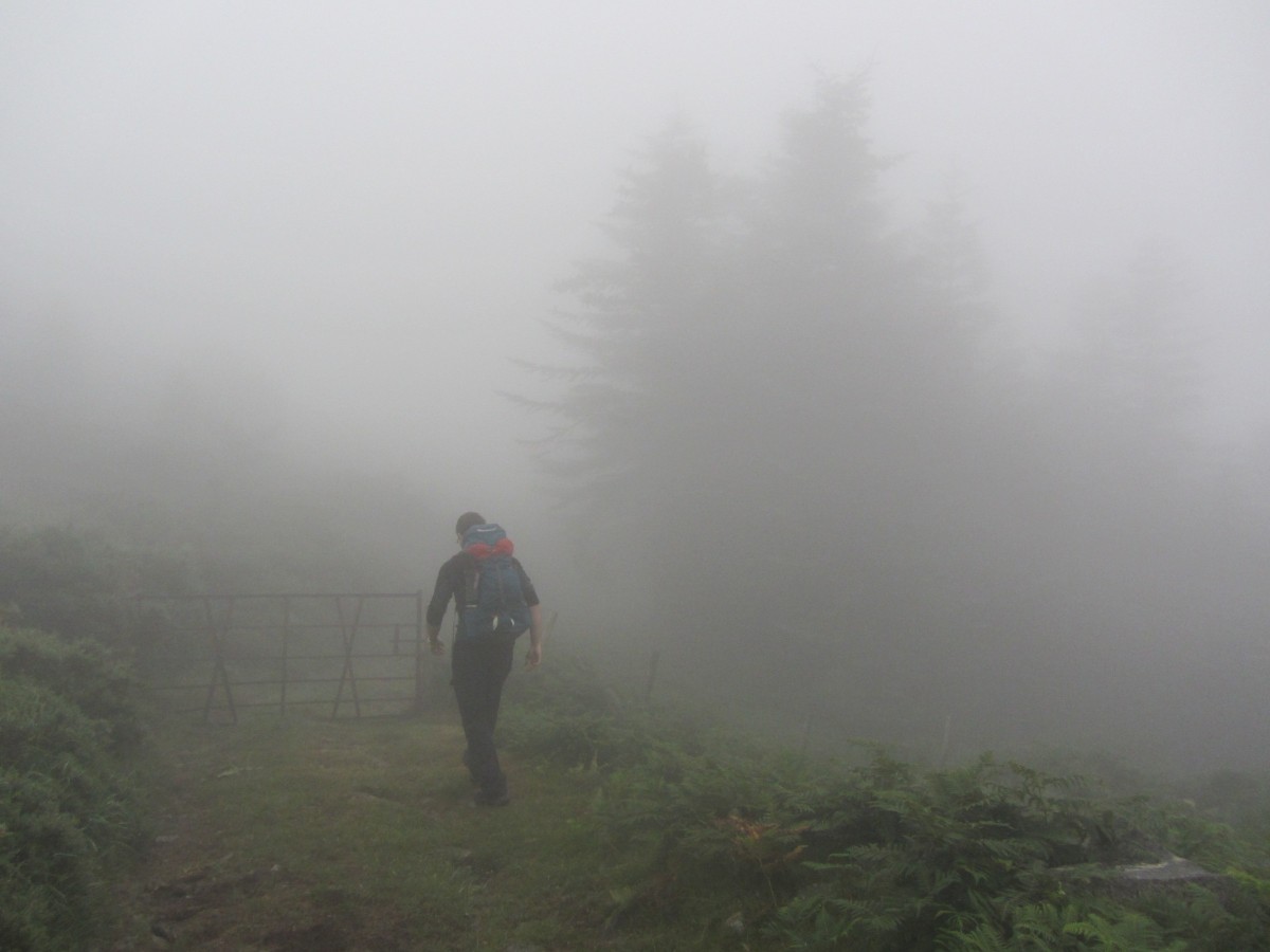 The trail home