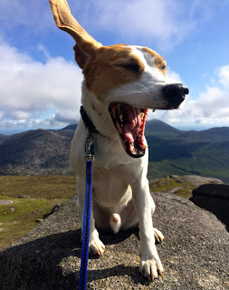 Cash on Binnian showing his famous earage