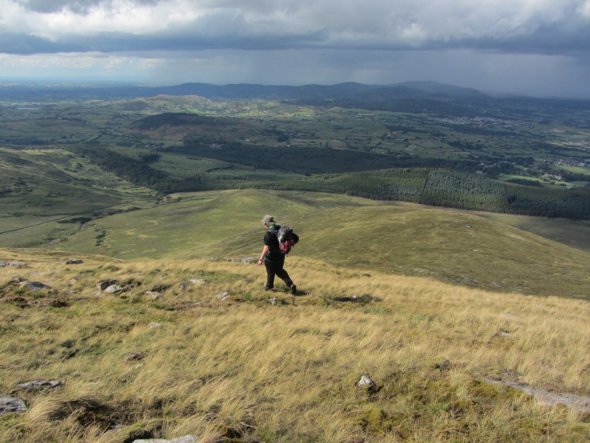 descending towards Tollymore