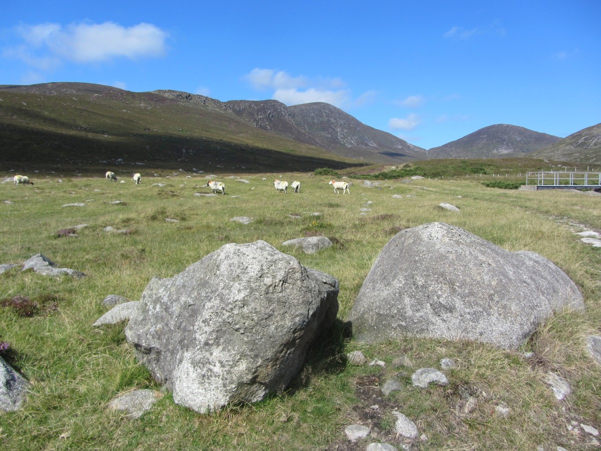 A Mourne Gem