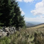 IMG_4705