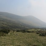 IMG_4907