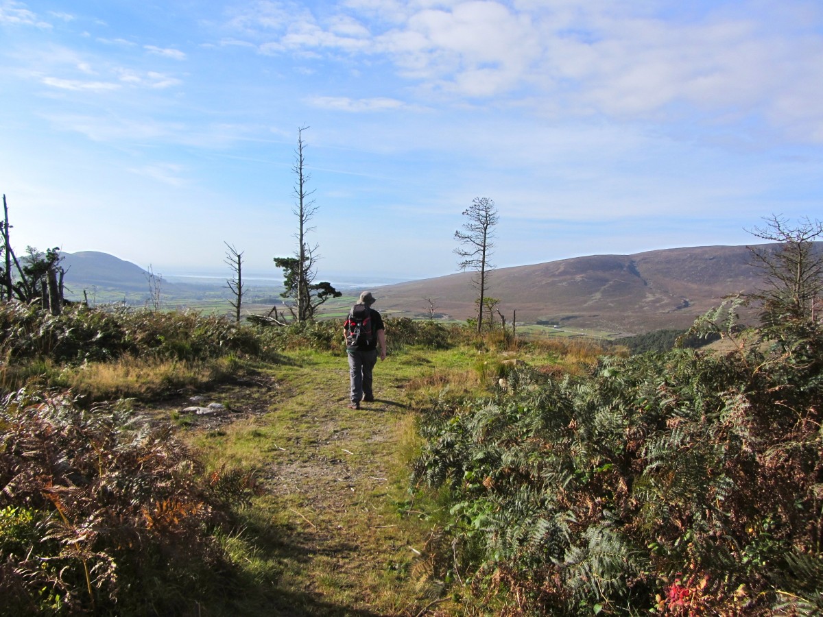 Crocknafeola summit and Knockchree in the distance.