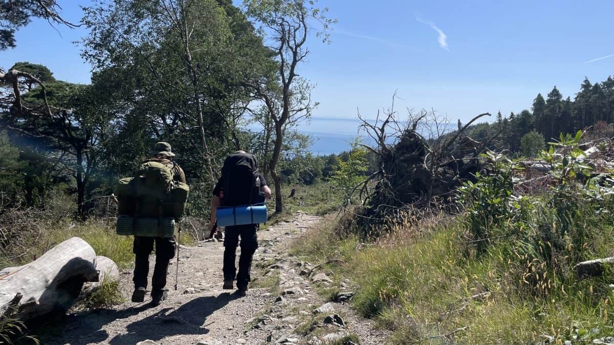 Hikers on a trail in a lush forest with scenic ocean view, ideal for outdoor adventure, trekking, and nature exploration.