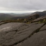 IMG_8730