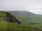 P1030445
