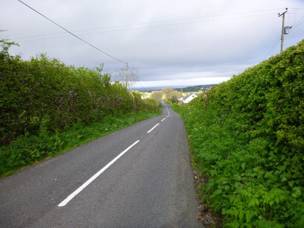 country road will tall hedges