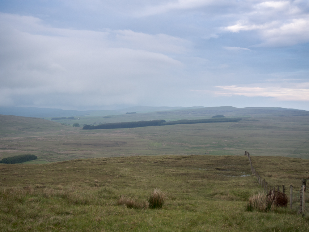 The view from halfway up Agnews Hill