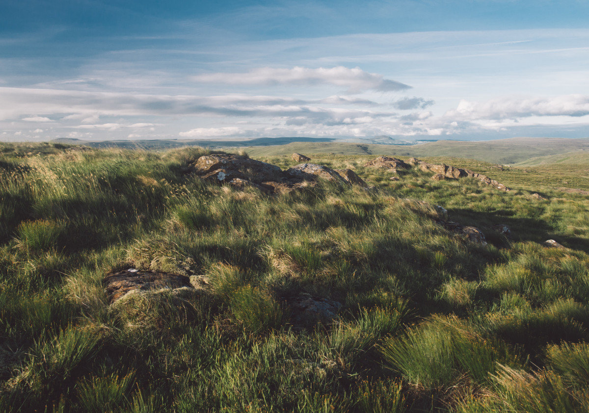 Grassy plains of the Antrim Hills