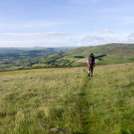 Walking on a grass path