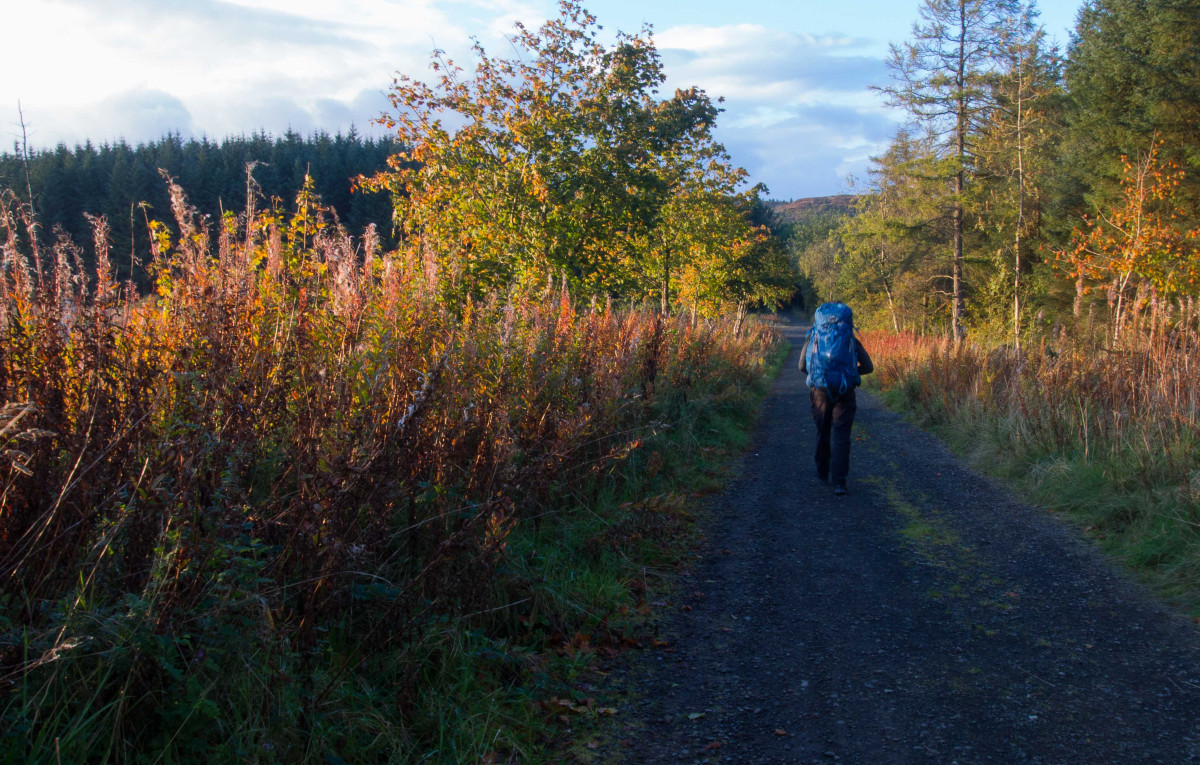 Walking down a country lane