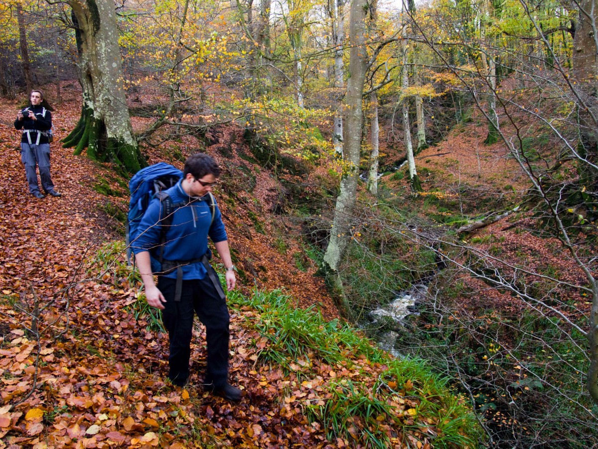 Wet leaves are a good test for a boot's grip