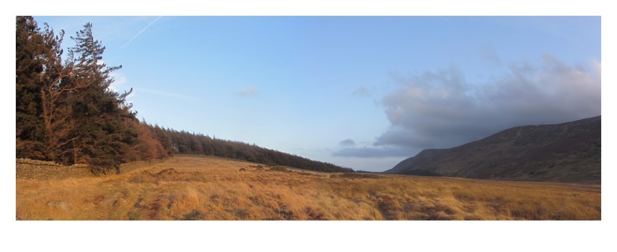 Tollymore's boundary wall