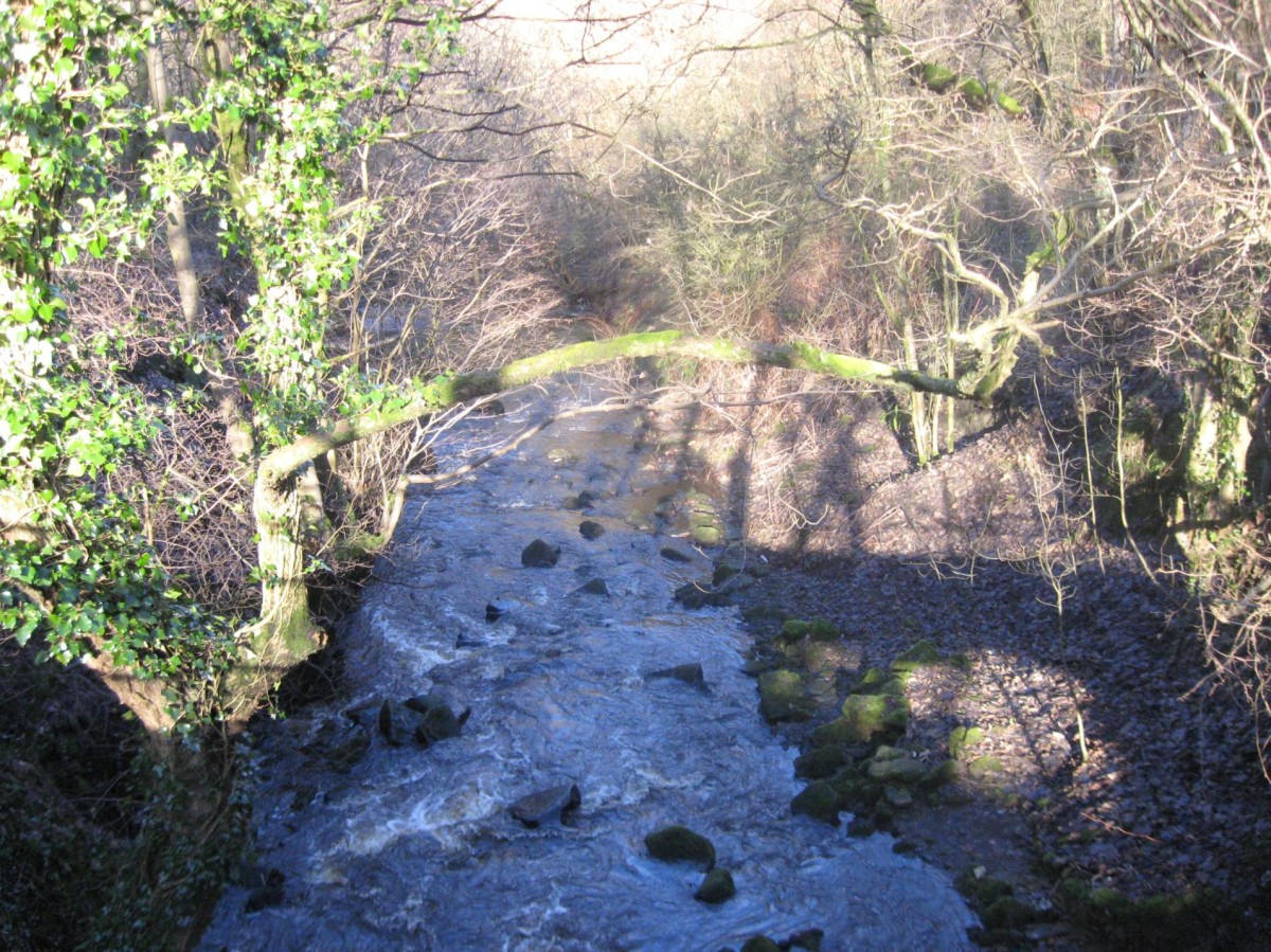 Priestley Clough, Accrington, Lancashire | © Derek Angelis